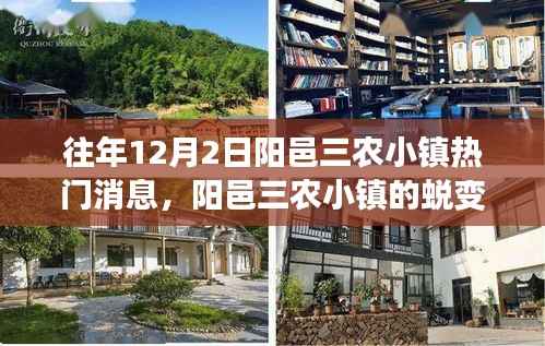 阳邑三农小镇蜕变日,学习与创新引领的自信与成就之旅