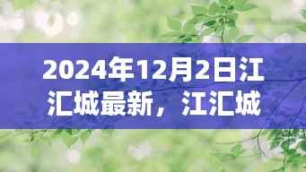 江汇城温馨日常,友谊与爱在时光中的陪伴(2024年12月2日最新)