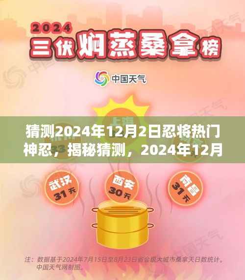 揭秘预测,2024年12月2日忍界神忍热门猜想与未来趋势展望!