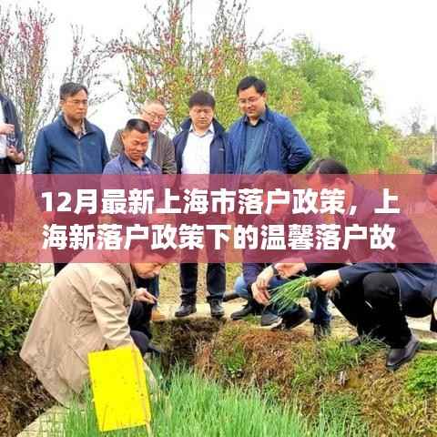 上海落户政策更新下的温馨故事,友情、家庭与梦想的新篇章