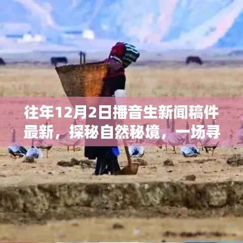 探秘自然秘境,寻找内心平静的旅程,最新播音生新闻稿件分享