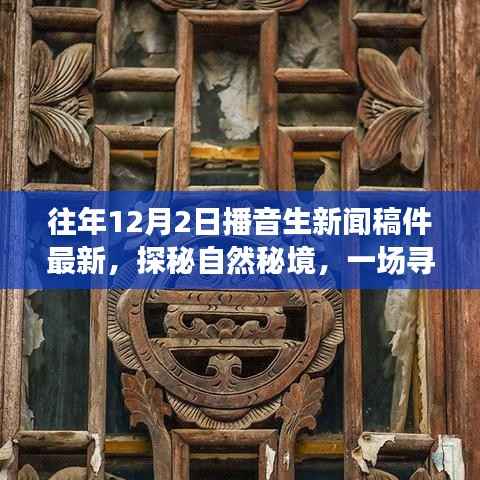 探秘自然秘境,寻找内心平静的旅程,最新播音生新闻稿件分享