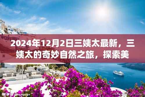 三姨太的奇妙自然之旅,探索美景,寻找内心宁静的旅程(2024年12月2日最新)
