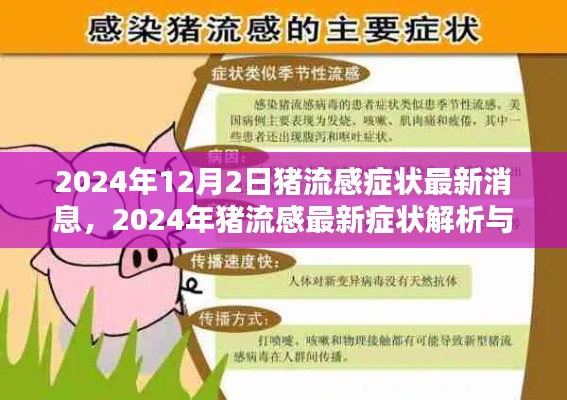 猪流感最新症状解析与防治指南,2024年猪流感症状识别与应对策略