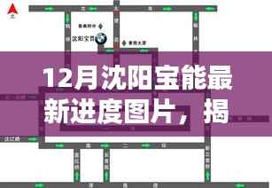 指李推张 第4页