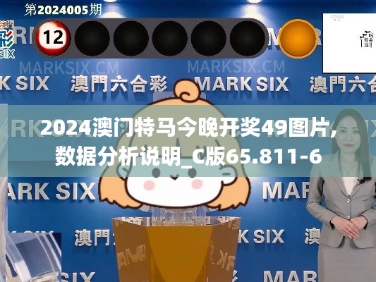 2024澳门特马今晚开奖49图片,数据分析说明_C版65.811-6