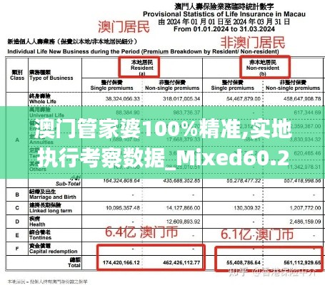 澳门管家婆100%精准,实地执行考察数据_Mixed60.268-3