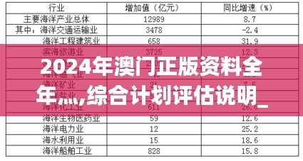 2024年澳门正版资料全年灬,综合计划评估说明_X12.443-9