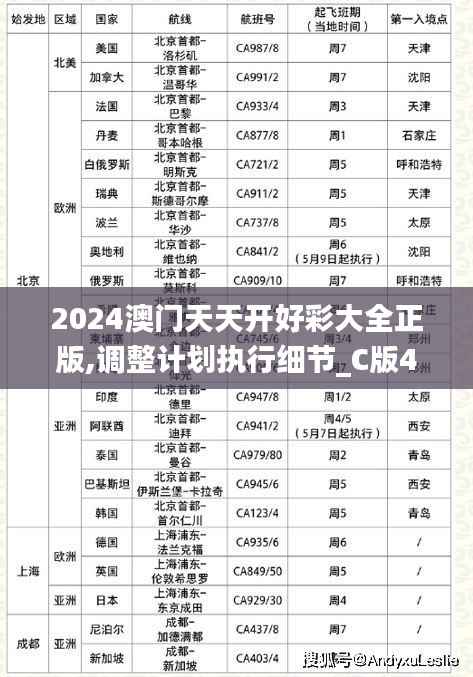 2024澳门天天开好彩大全正版,调整计划执行细节_C版48.784-9