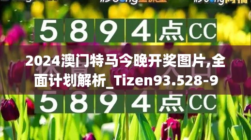 2024澳门特马今晚开奖图片,全面计划解析_Tizen93.528-9