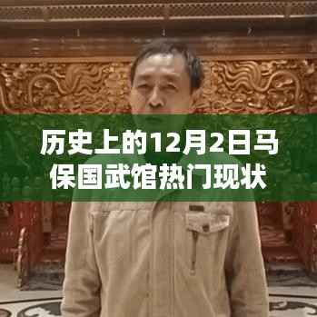 探寻历史上的马保国武馆,热门现状下的入门指南与技能进阶攻略,探寻武馆历史与现状揭秘!