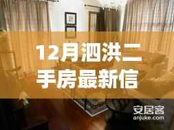 泗洪十二月二手房最新动态,温馨故事与家的纽带