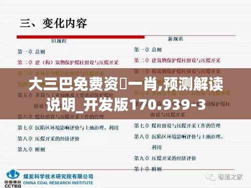 大三巴免费资枓一肖,预测解读说明_开发版170.939-3