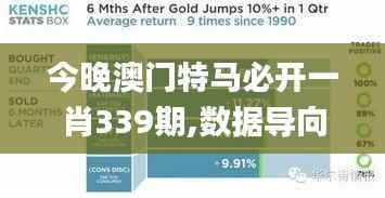 今晚澳门特马必开一肖339期,数据导向方案设计_XR2.931-4