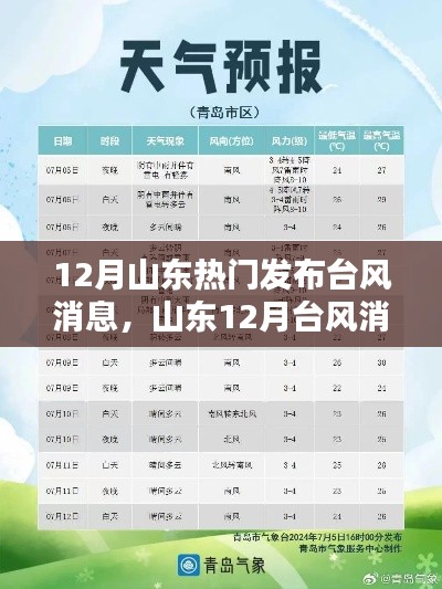 山东发布十二月台风消息,如何快速获取并应对台风预警信息?