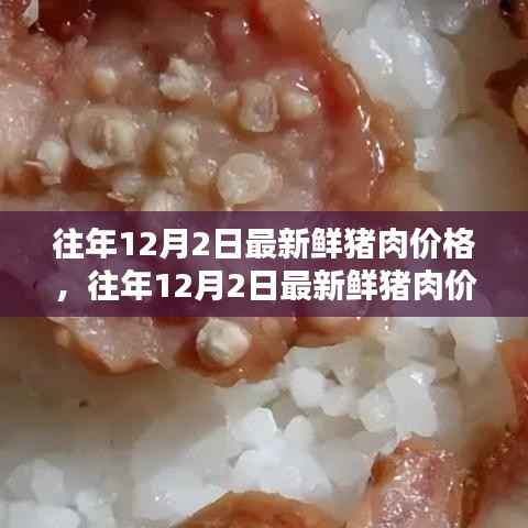 往年12月2日最新鲜猪肉价格走势分析,观点阐述与探讨