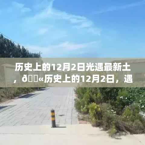 历史上的12月2日科技之光,探索最新高科技产品光遇最新土之旅
