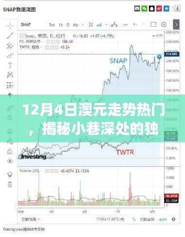 揭秘澳元走势下的独特风味,小巷深处的隐藏版特色小店故事