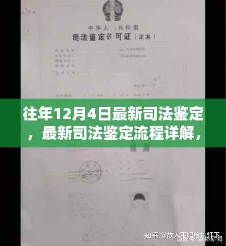 往年12月4日最新司法鉴定详解及流程指南,如何高效完成司法鉴定任务?