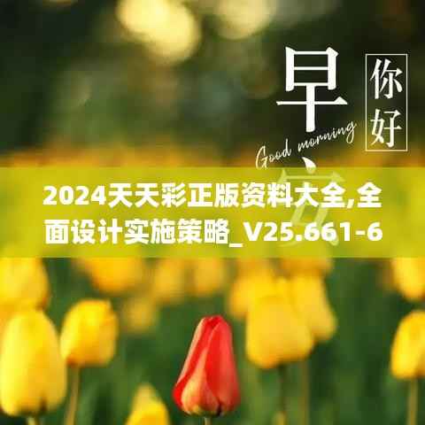 2024天天彩正版资料大全,全面设计实施策略_V25.661-6