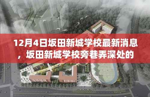 坂田新城学校旁巷弄中的隐藏瑰宝,特色小店惊喜之旅揭秘