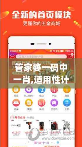 管家婆一码中一肖,适用性计划实施_Galaxy31.609