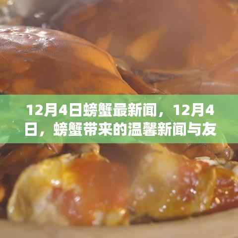 12月4日螃蟹温馨新闻与友情故事