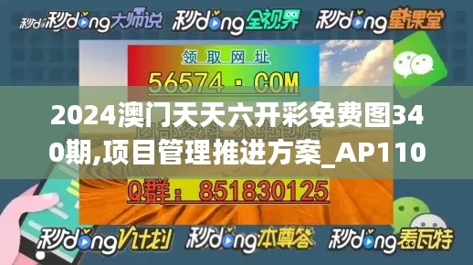 2024澳门天天六开彩免费图340期,项目管理推进方案_AP110.138-7