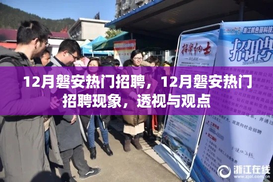 12月磐安热门招聘现象深度透视与观点分享