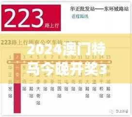 2024澳门特马今晚开奖340期,快速设计响应方案_SP94.282-6