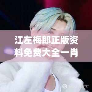 江左梅郎正版资料免费大全一肖,数据分析决策_视频版56.611