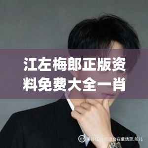 江左梅郎正版资料免费大全一肖,数据分析决策_视频版56.611