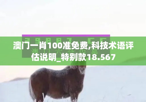 澳门一肖100准免费,科技术语评估说明_特别款18.567