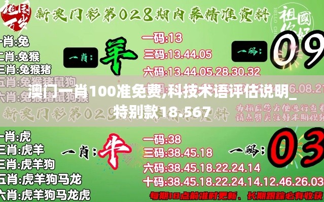 澳门一肖100准免费,科技术语评估说明_特别款18.567