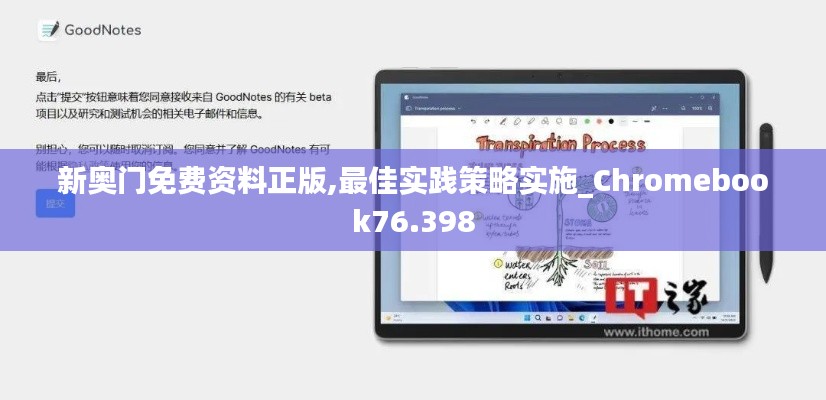 新奥门免费资料正版,最佳实践策略实施_Chromebook76.398