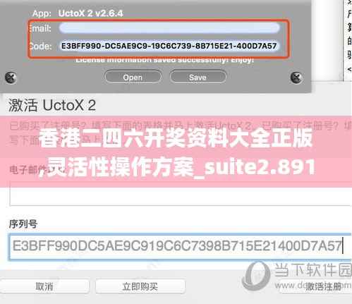 香港二四六开奖资料大全正版,灵活性操作方案_suite2.891