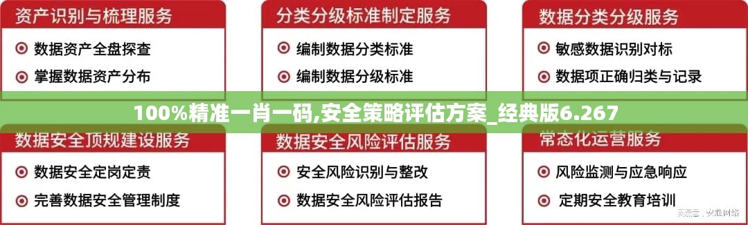 100%精准一肖一码,安全策略评估方案_经典版6.267