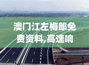 澳门江左梅郎免费资料,高速响应解决方案_特别款4.947