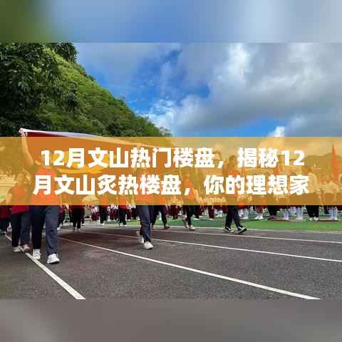 揭秘文山炙热楼盘,理想家园的优选指南(附最新热门楼盘)