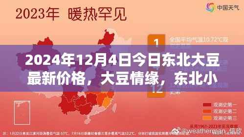 东北大豆最新价格揭秘,小镇情缘与温馨价格探秘,2024年大豆市场动态