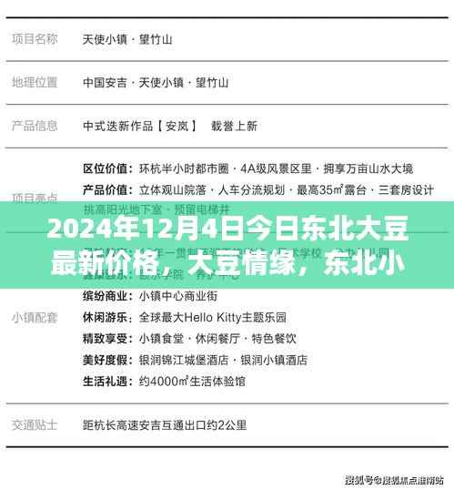 东北大豆最新价格揭秘,小镇情缘与温馨价格探秘,2024年大豆市场动态