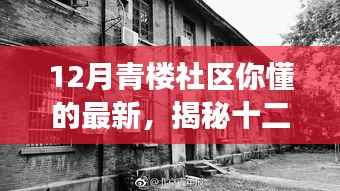避免涉黄内容,以下是一个可能的标题,,十二月青楼社区,历史与现代交融的社区文化新动向探索(非色情内容)