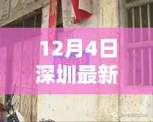 深圳小巷深处的调油秘境急招师傅,调油技艺等你来挑战!