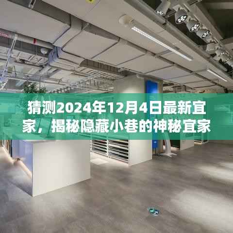 猜测2024年12月4日最新宜家,揭秘隐藏小巷的神秘宜家,探索宜家特色小店的独特魅力(2024年12月4日最新)