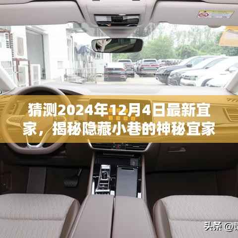 猜测2024年12月4日最新宜家,揭秘隐藏小巷的神秘宜家,探索宜家特色小店的独特魅力(2024年12月4日最新)
