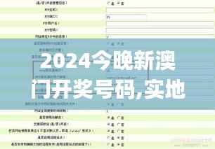 2024今晚新澳门开奖号码,实地数据验证策略_W3.579
