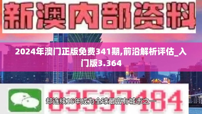2024年澳门正版免费341期,前沿解析评估_入门版3.364