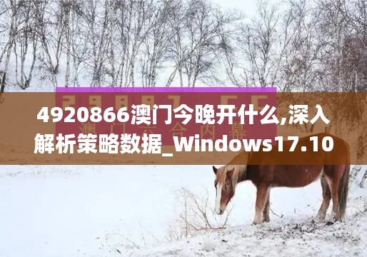 4920866澳门今晚开什么,深入解析策略数据_Windows17.104