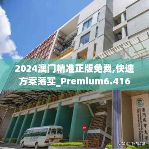 2024澳门精准正版免费,快速方案落实_Premium6.416