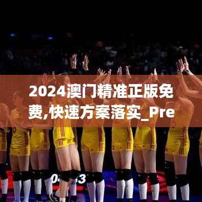 2024澳门精准正版免费,快速方案落实_Premium6.416